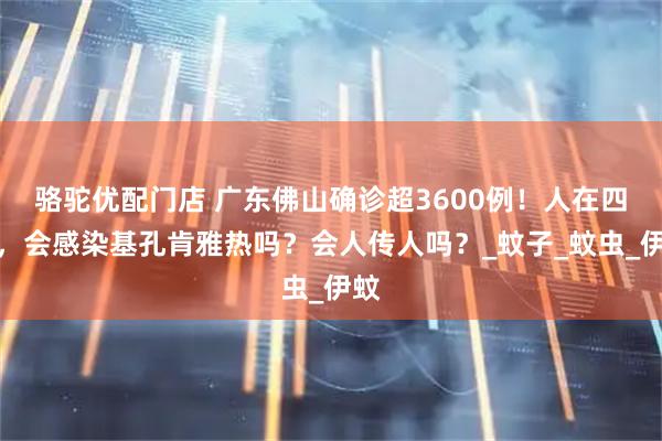 骆驼优配门店 广东佛山确诊超3600例！人在四川，会感染基孔肯雅热吗？会人传人吗？_蚊子_蚊虫_伊蚊