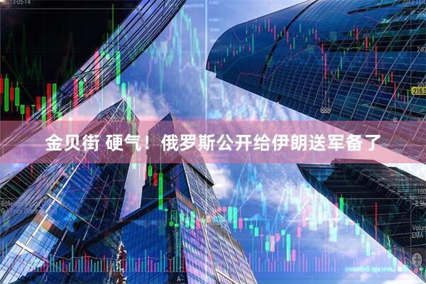 金贝街 硬气！俄罗斯公开给伊朗送军备了
