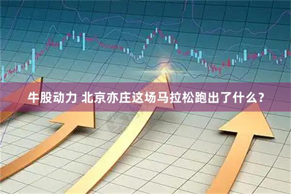 牛股动力 北京亦庄这场马拉松跑出了什么？