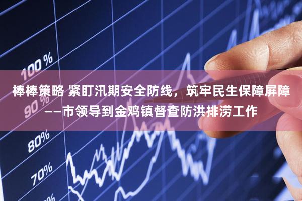 棒棒策略 紧盯汛期安全防线，筑牢民生保障屏障——市领导到金鸡镇督查防洪排涝工作