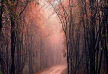 股票融资融券的利率是多少:股票配资案件-情绪突变！A股“吹哨人”最新发声！